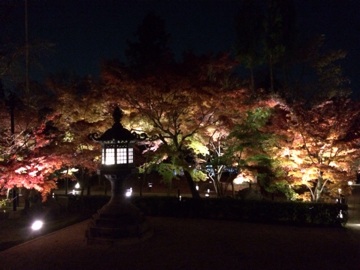 京都 永観堂ライトアップ
